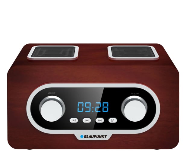 Blaupunkt PP5.2BR - 1328681 - zdjęcie
